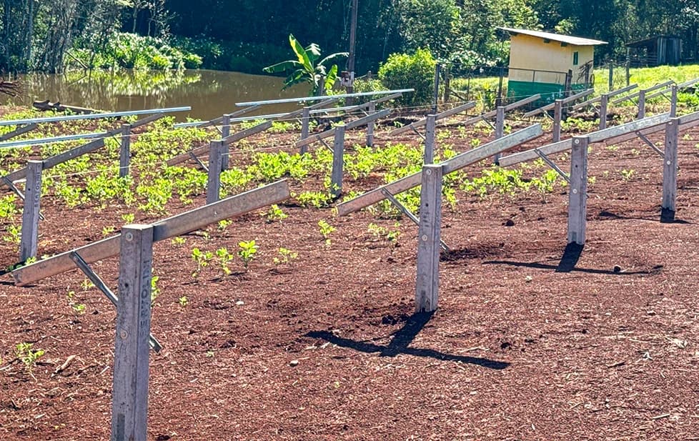 Usina fotovoltaica de solo executada com estrutura Bertolini